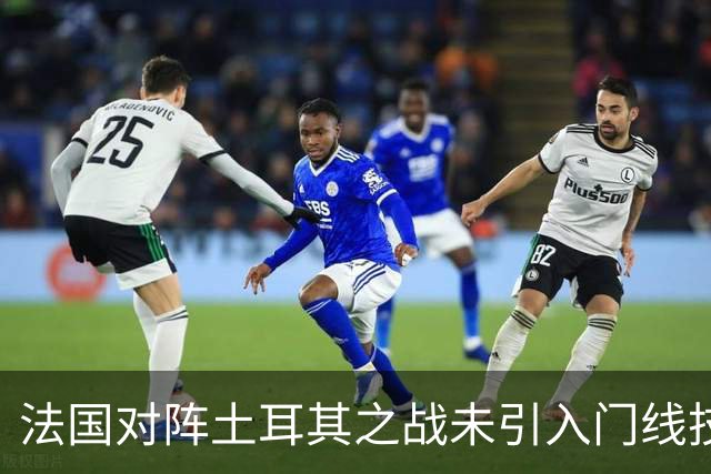 法国对阵土耳其之战未引入门线技术，东道主决定成关键